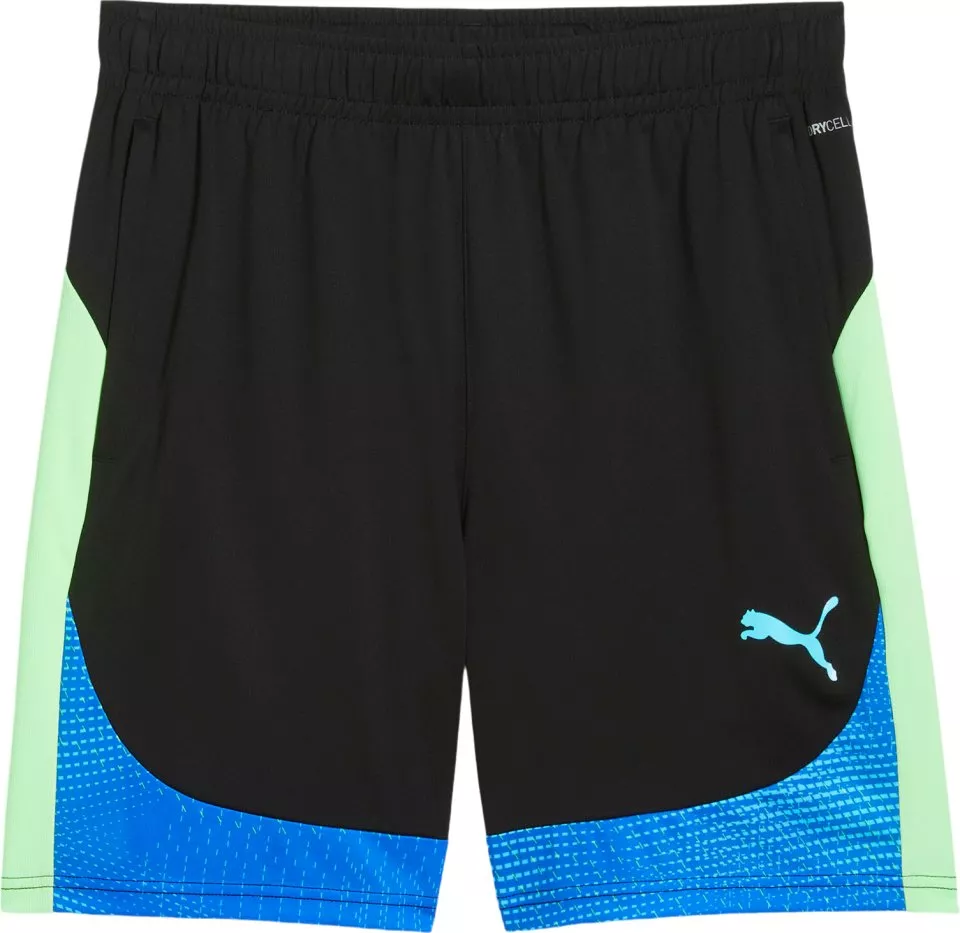 Puma individualFINAL Shorts