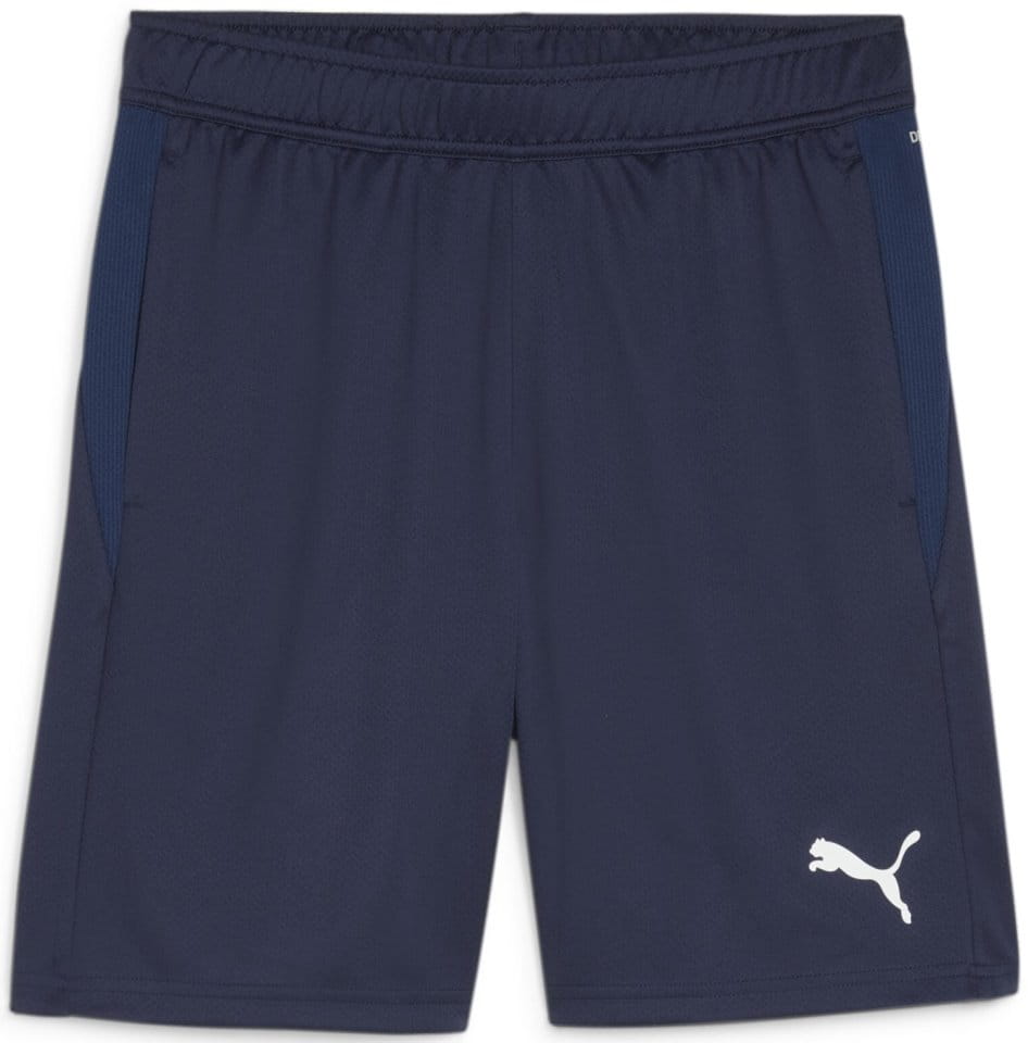 Shorts Puma teamGOAL Training Short