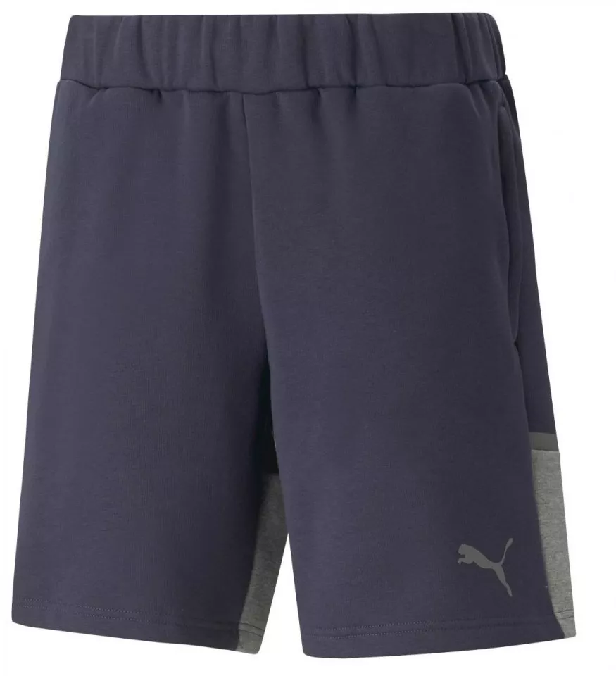 Puma teamCUP Casuals Shorts