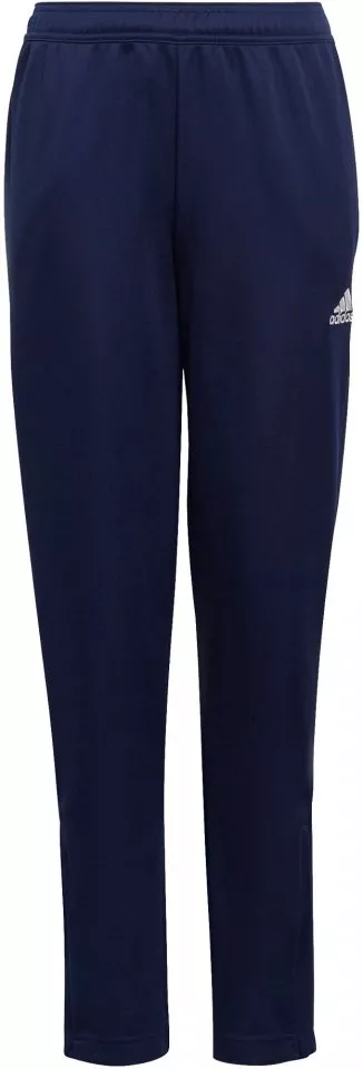Pants adidas ENT22 TR PNT Y