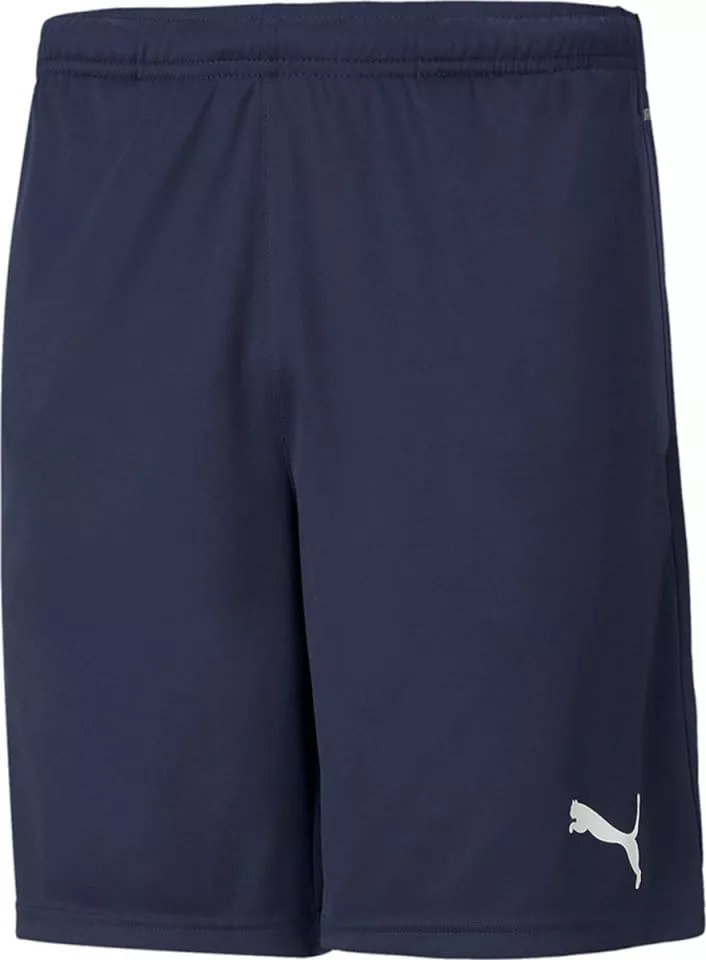 Puma teamRISE Training Shorts