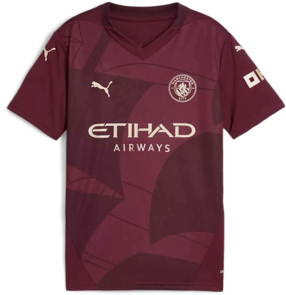 Puma Manchester City 2024/25 3rd Jersey Youth
