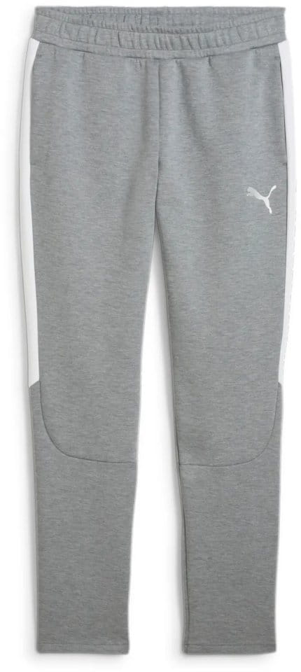 Puma teamEVOSTRIPE Pants
