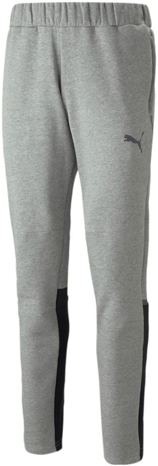 Puma teamCUP Casuals Pants