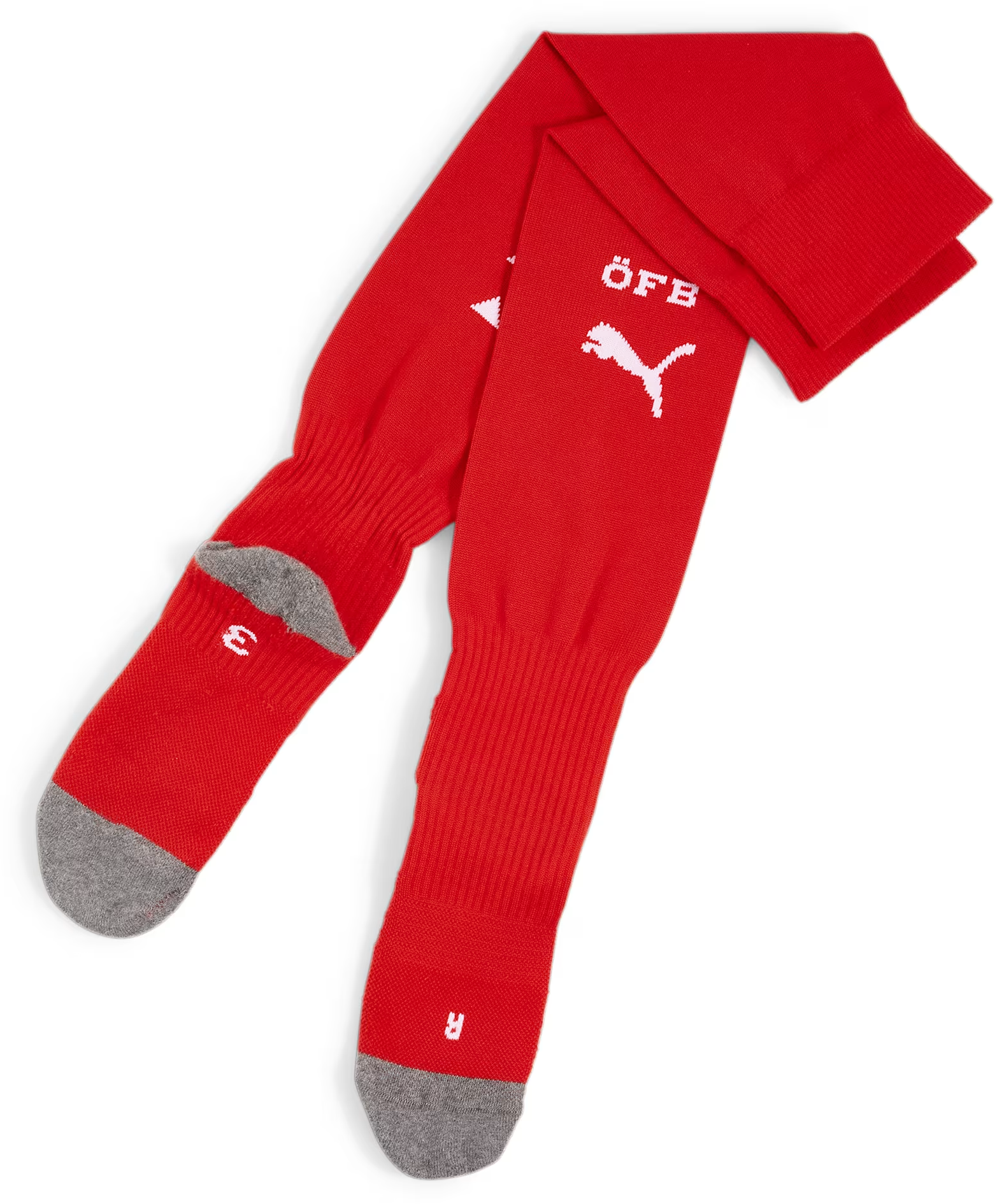 Puma Austria Logo Football Socks 2024