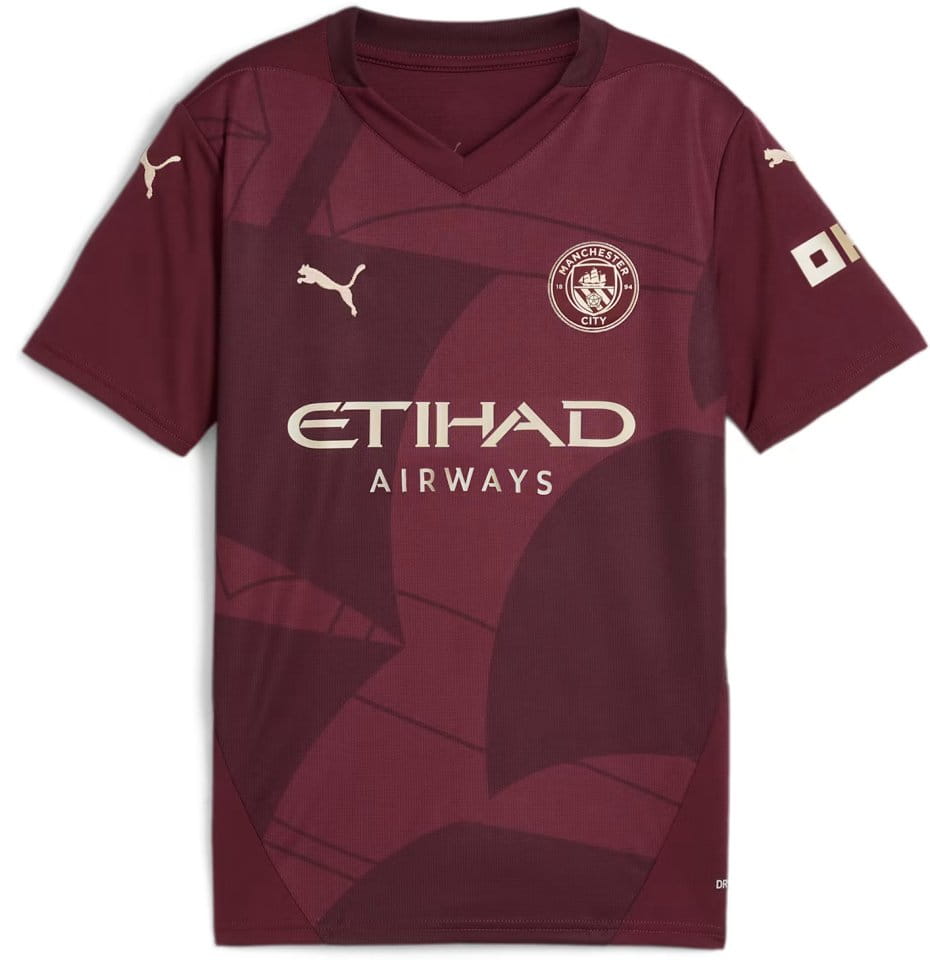 Puma Manchester City 2024/25 3rd Jersey Youth
