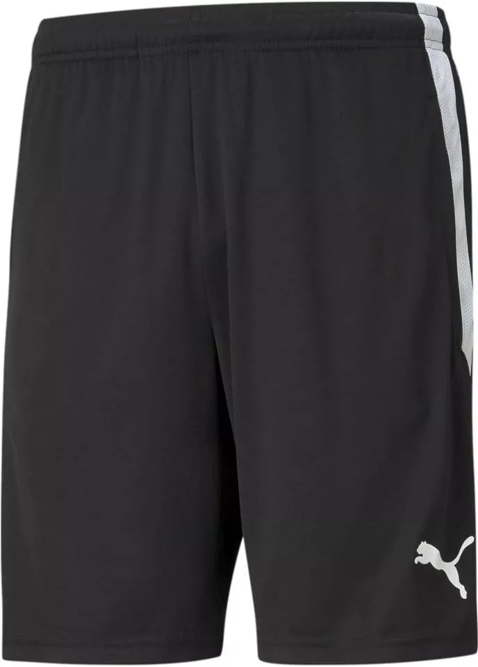 Puma teamLIGA Training Shorts