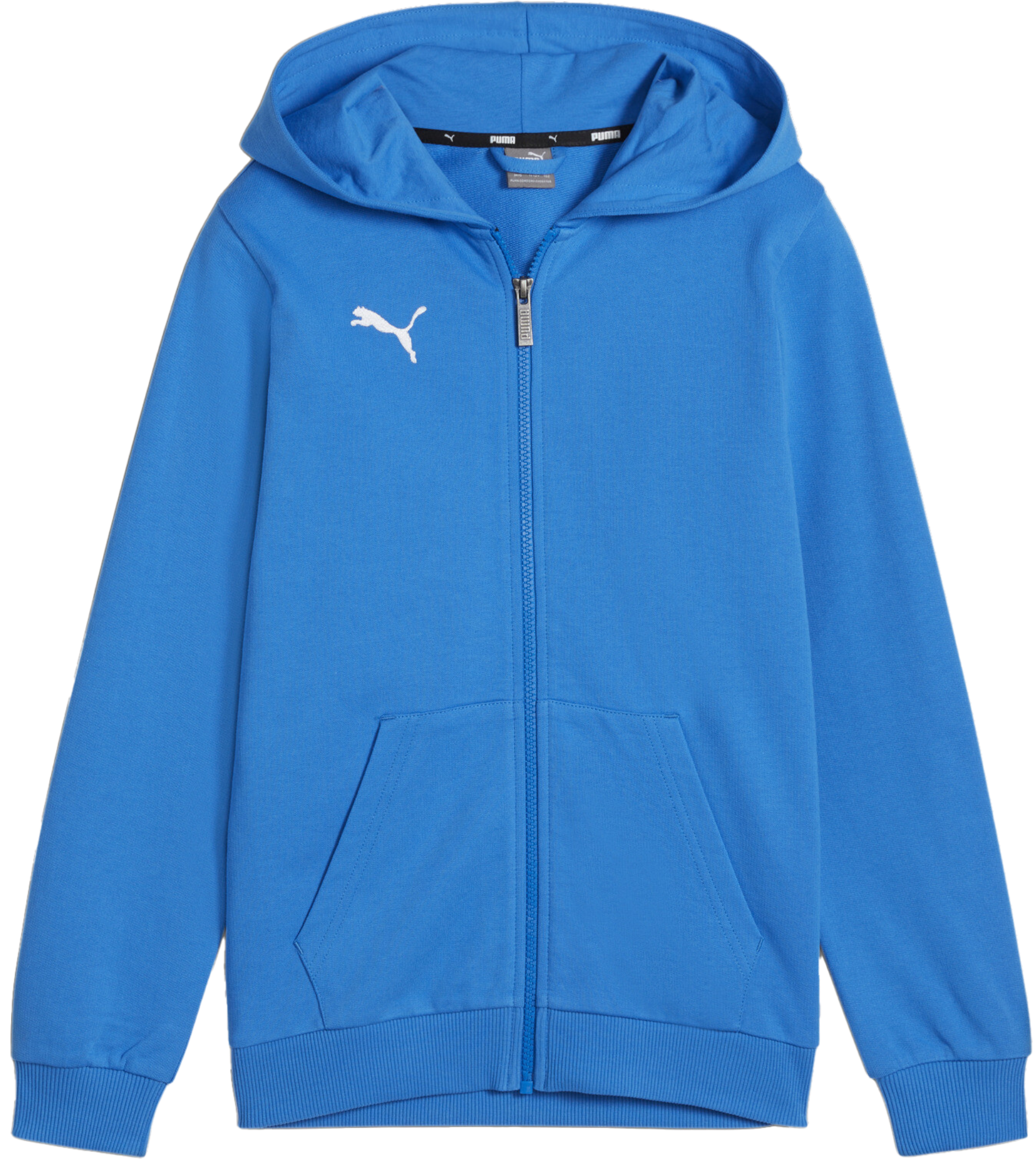 Hooded sweatshirt Puma teamGOAL Casuals Hoodie Kids