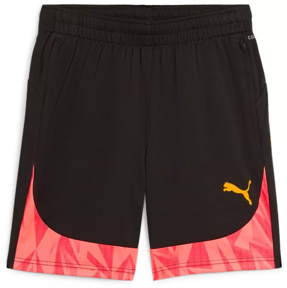 Puma individualFINAL Men's Football Shorts