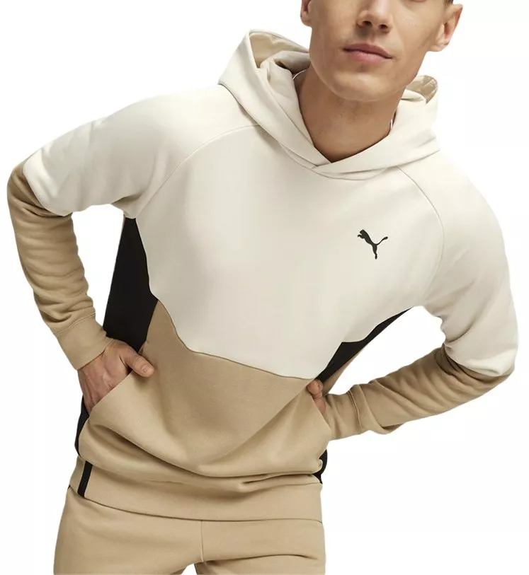 Hooded sweatshirt Puma TECH Hoodie FL