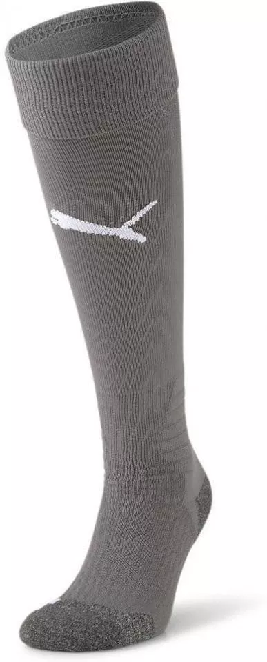 Football Puma LIGA Socks