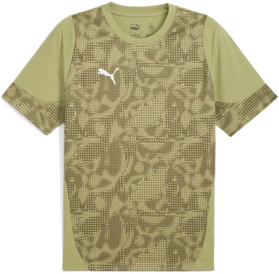 Puma teamCUP Training Jersey