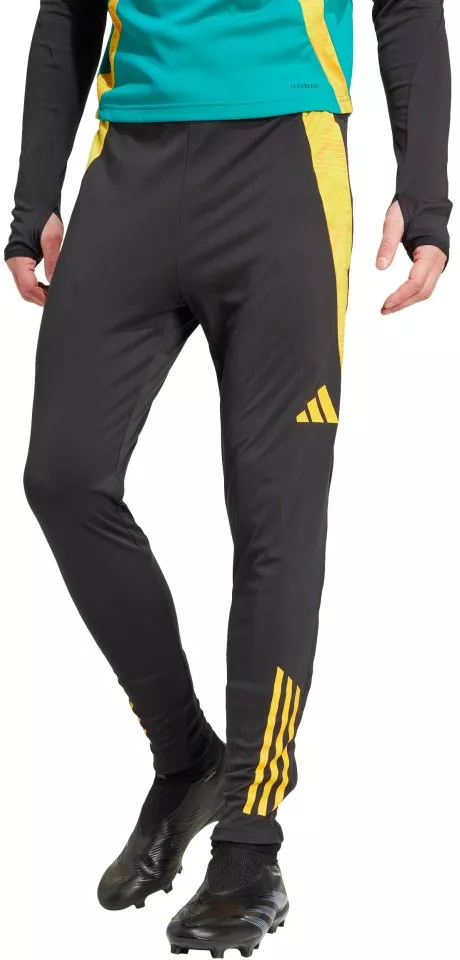Pants adidas JFF TR PNT