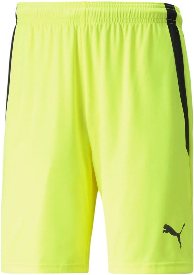 Puma teamLIGA Shorts