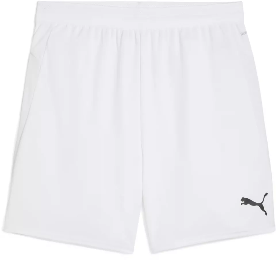 Puma teamCUP Shorts