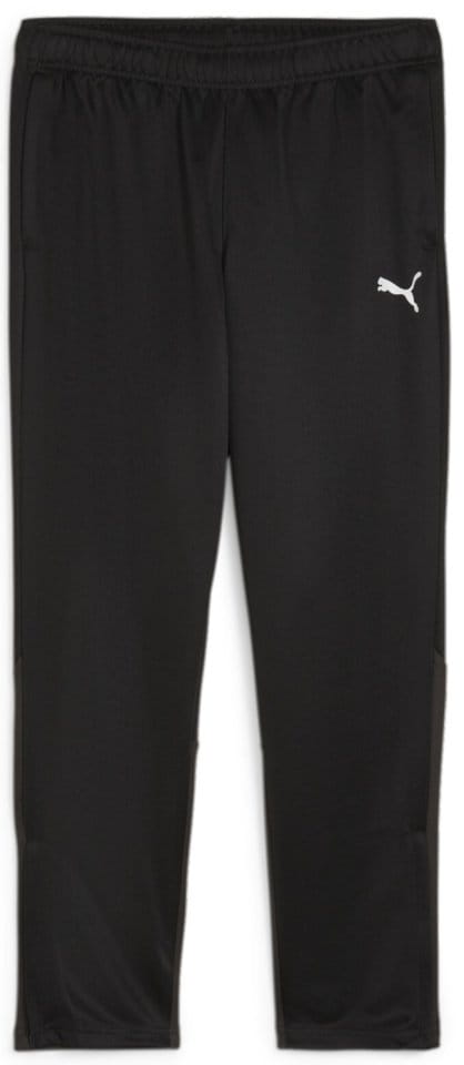 Pants Puma teamGOAL Training Pant Wmn