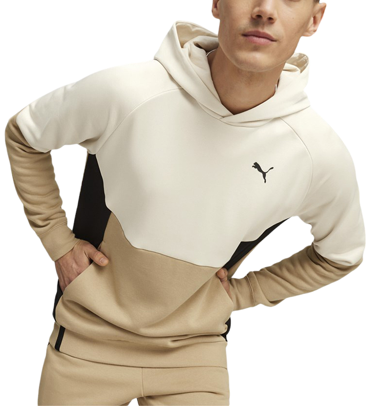 Hooded sweatshirt Puma TECH Hoodie FL