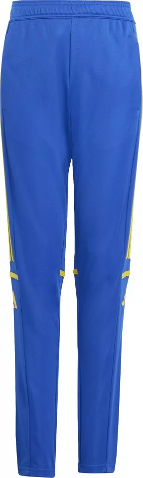 Pants adidas SQUADRA25 TR PNT Y