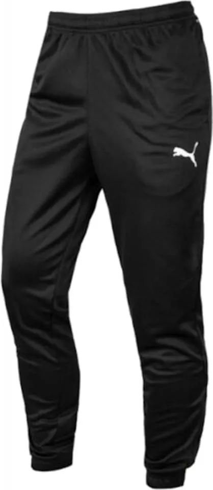 Puma teamRISE Poly Training Pants