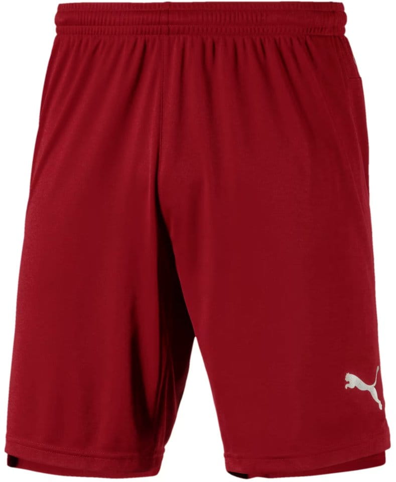 Puma ftblNXT Shorts