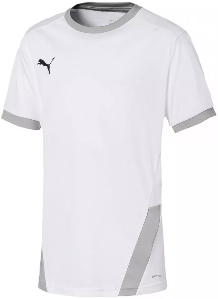 Puma teamFINAL Training Jersey