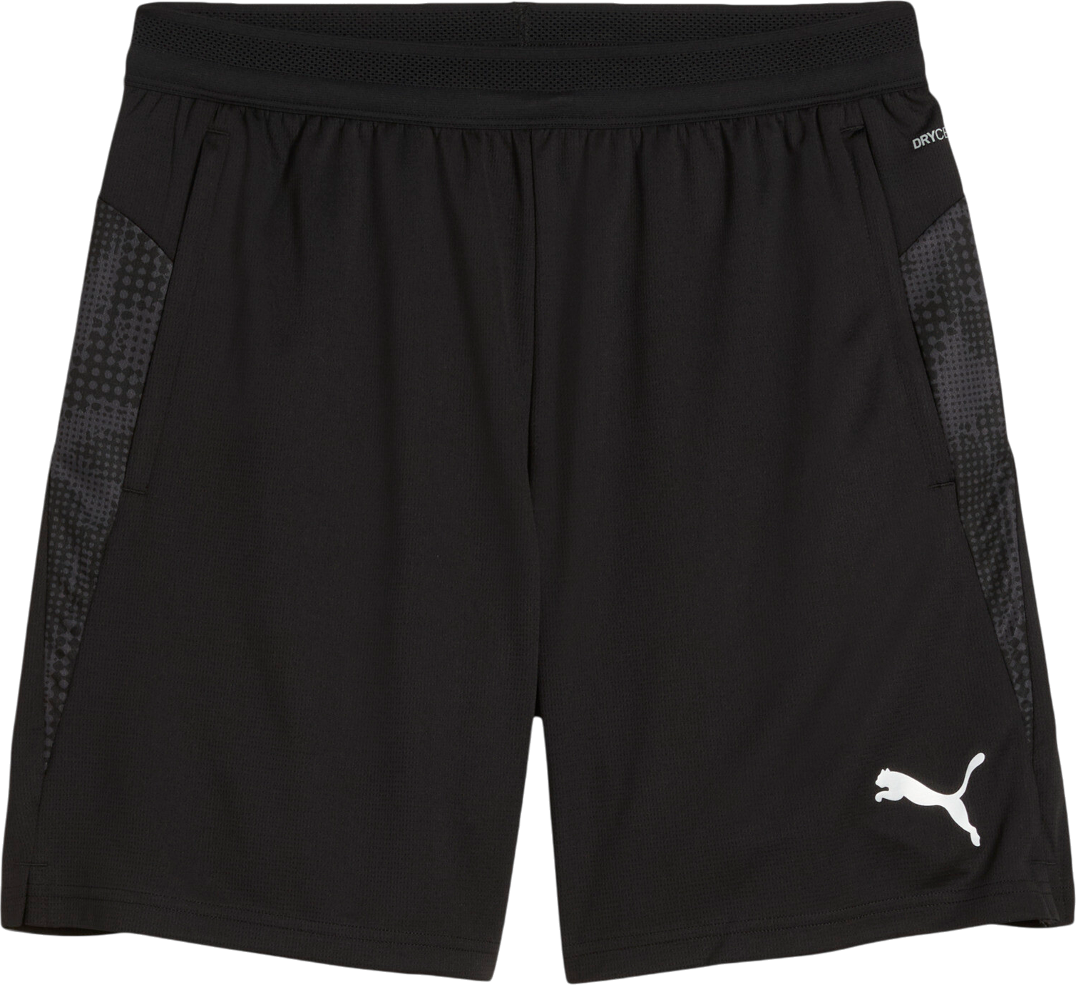 Puma teamCUP Training Shorts
