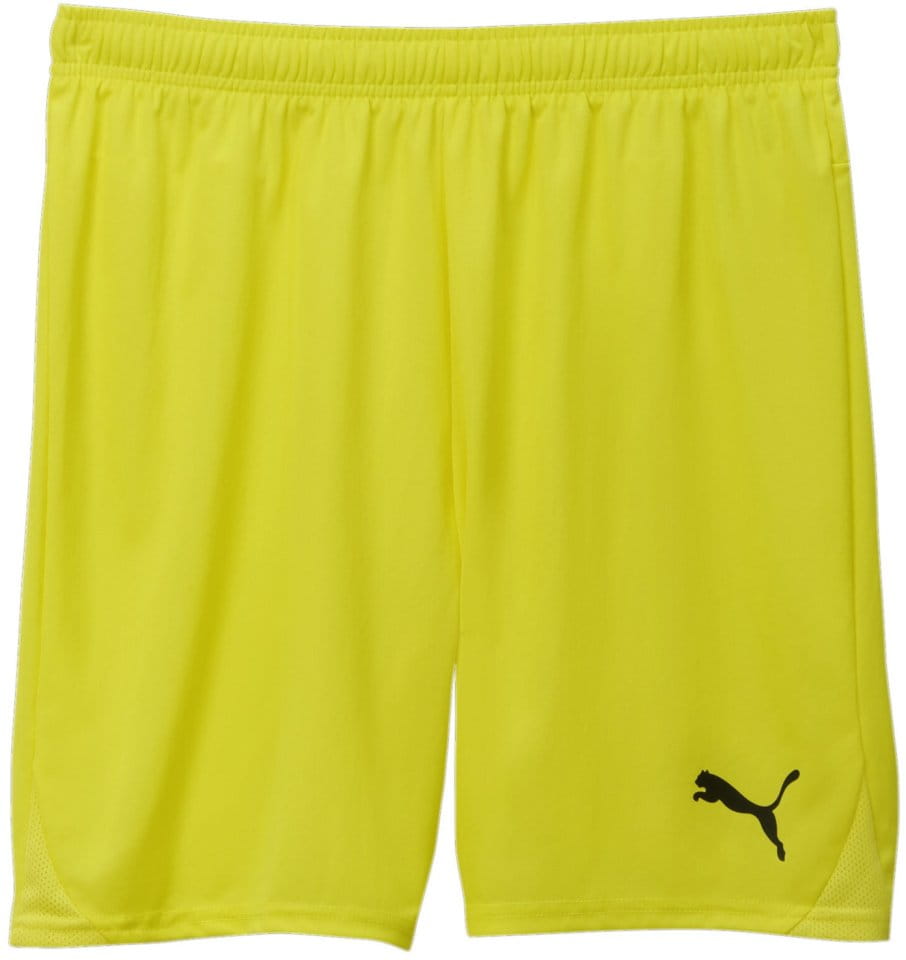 Puma teamGOAL Shorts