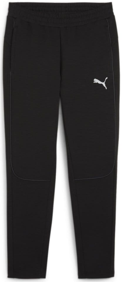 Puma teamFINAL Casuals Pants