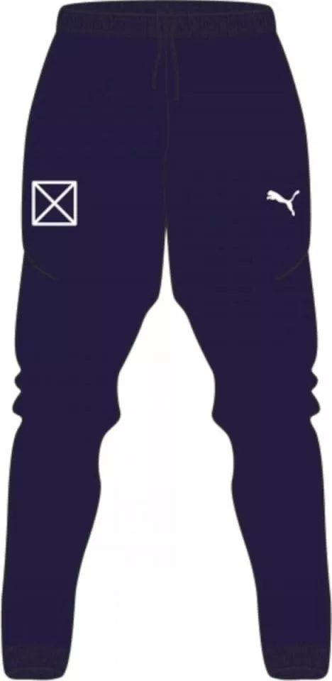 Puma teamRISE Poly Trg Pants Jr