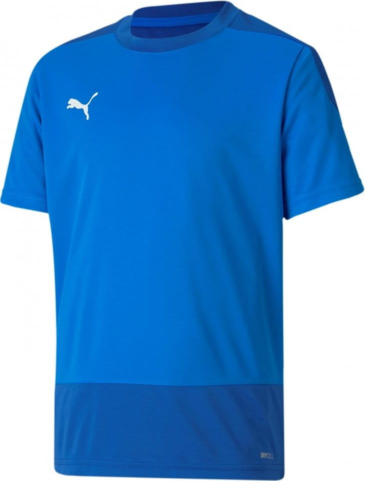 Puma teamGOAL 23 Training Jersey Jr