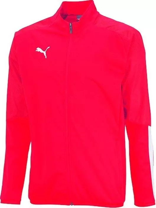 Jacket Puma cup sideline t f01