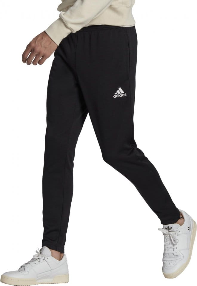 Pants adidas ENT22 TR PNT