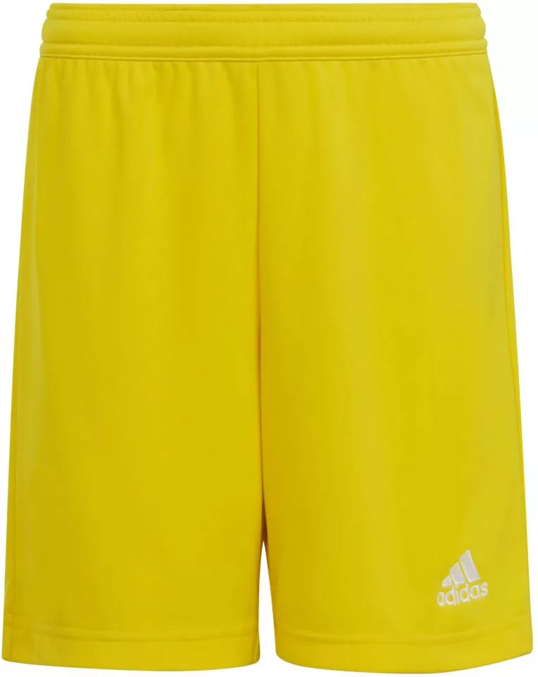 Shorts adidas ENT22 SHO Y