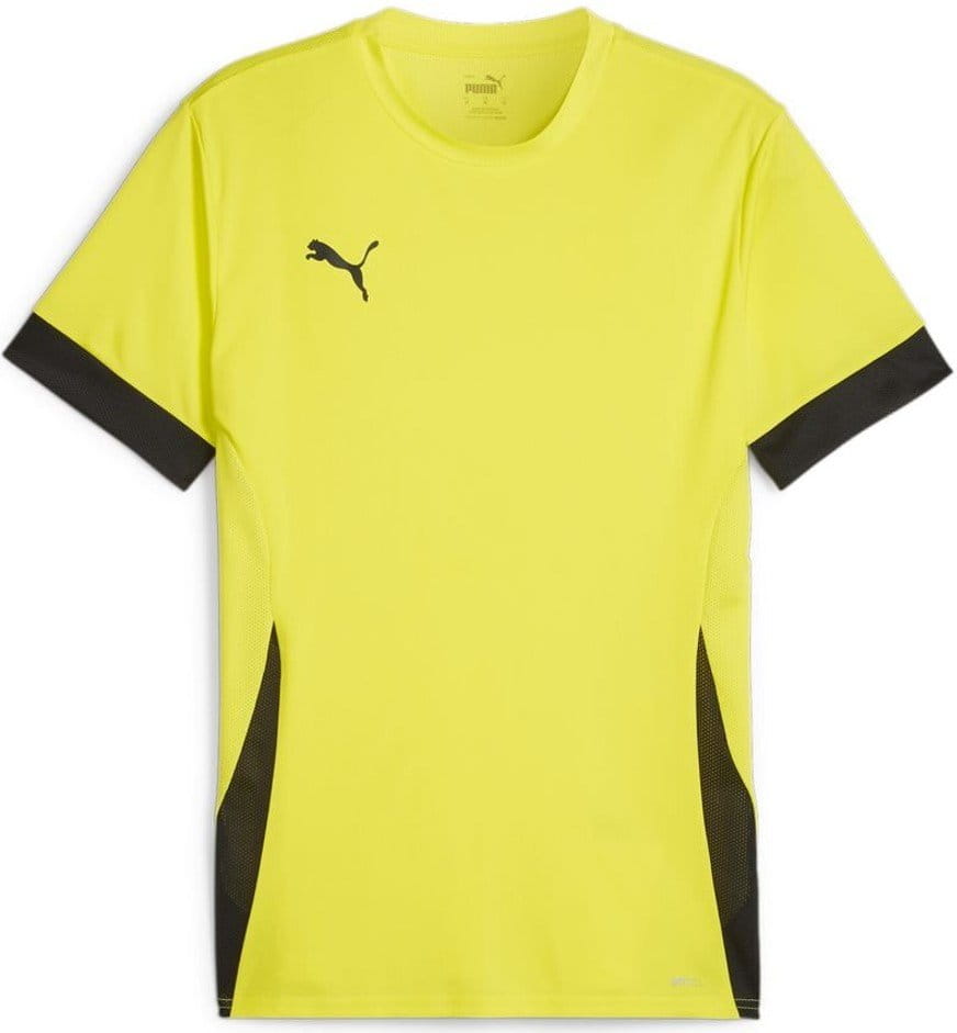 Puma teamGOAL Matchday Jersey