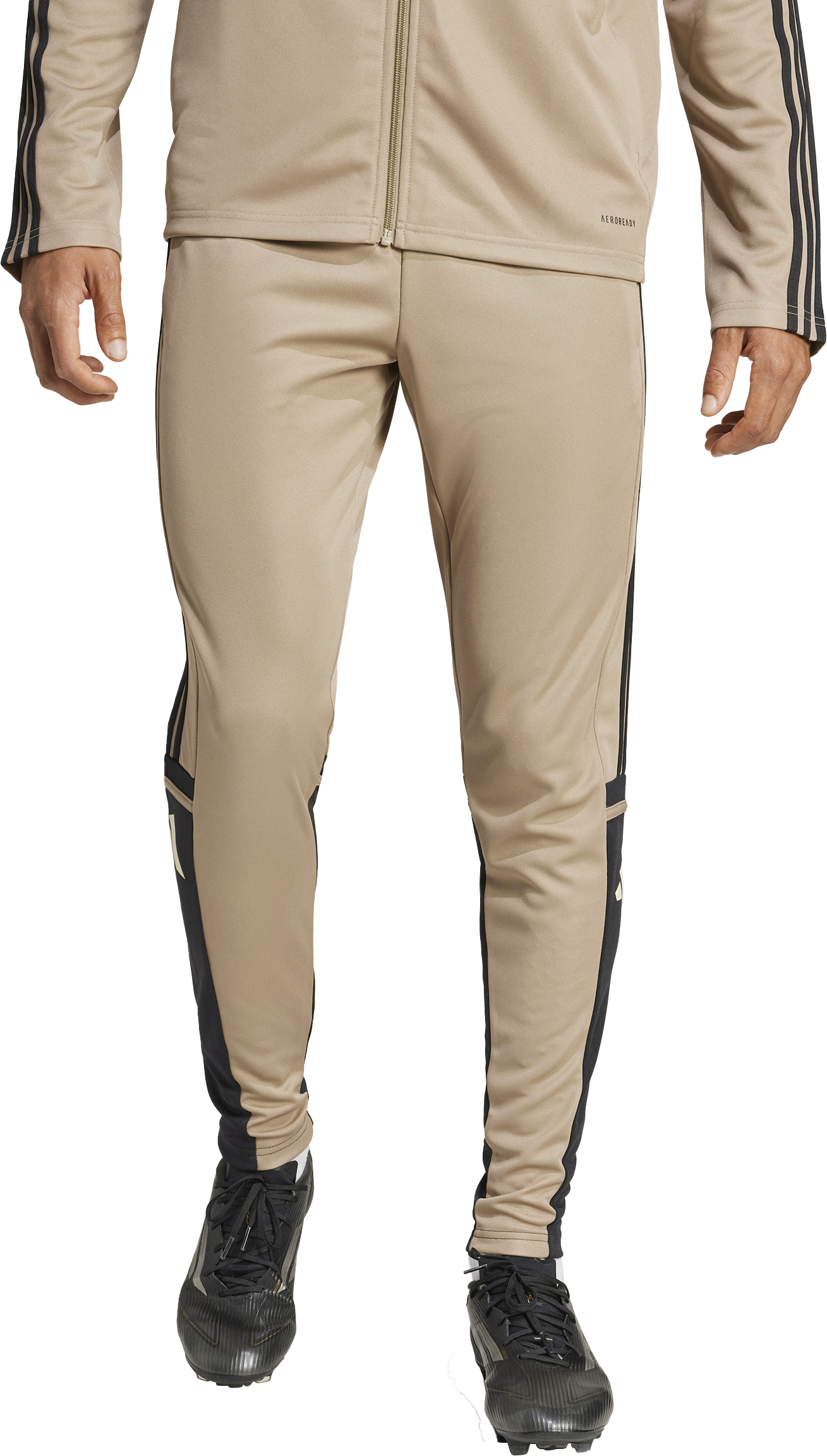 Pants adidas SQUADRA25 TR PNT