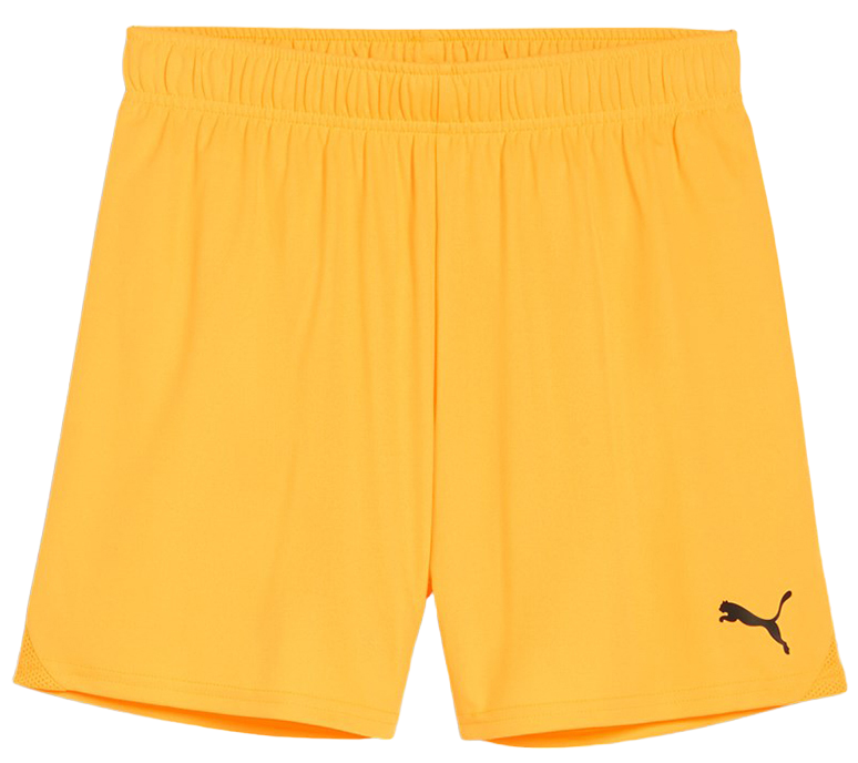 Puma teamGOAL Shorts Wmns