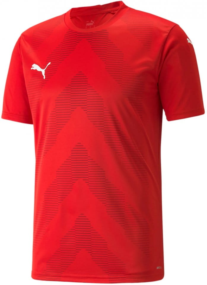 Puma teamGLORY Jersey
