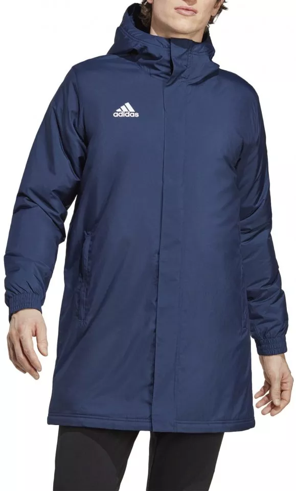 Hooded jacket adidas ENT22 STADJKT