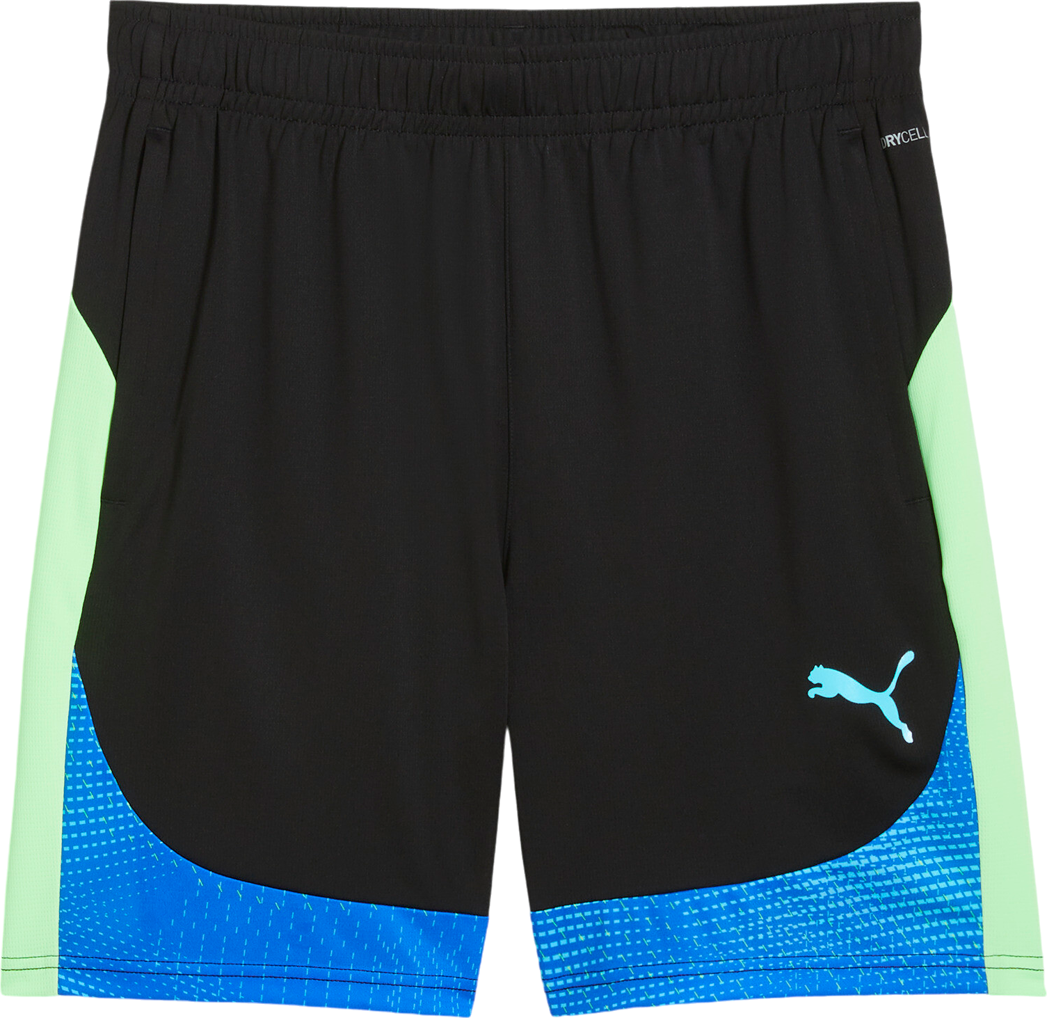 Puma individualFINAL Shorts