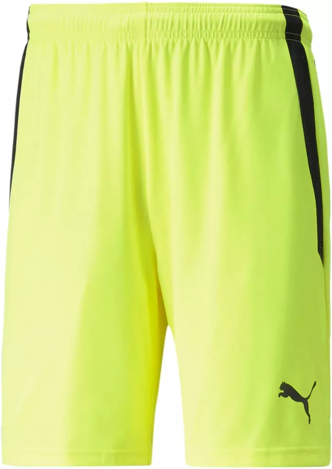 Puma teamLIGA Shorts