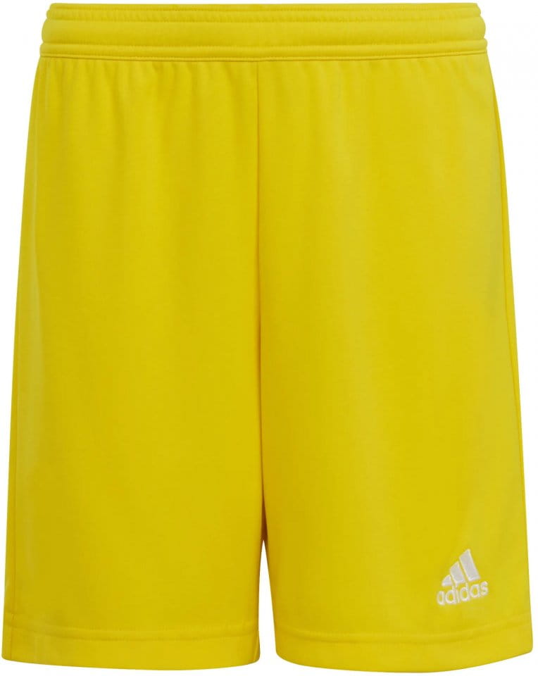 Shorts adidas ENT22 SHO Y