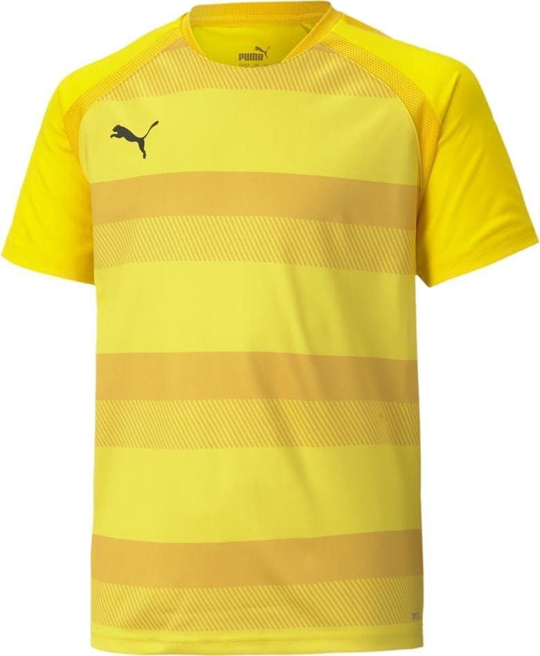 Puma teamVISION Jersey Jr