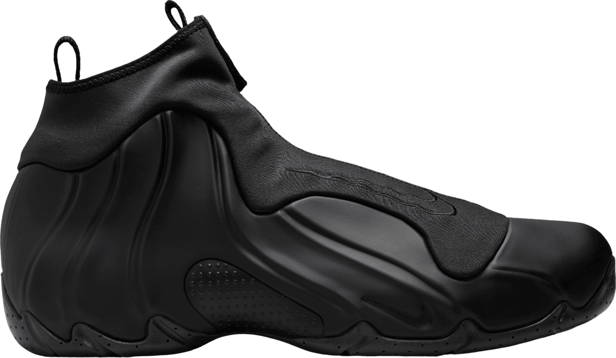 Shoes Nike Air Flightposite shoe
