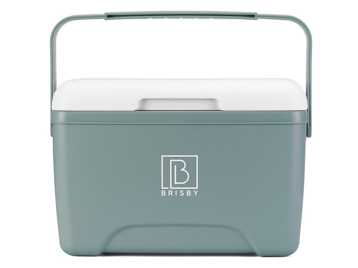 Brisby 8 liter koelbox met 2 koelelementen