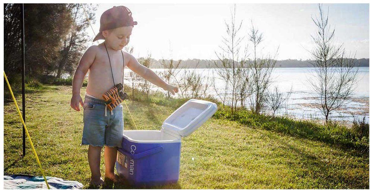 Coleman 16QT Performance Tricolor Koelbox