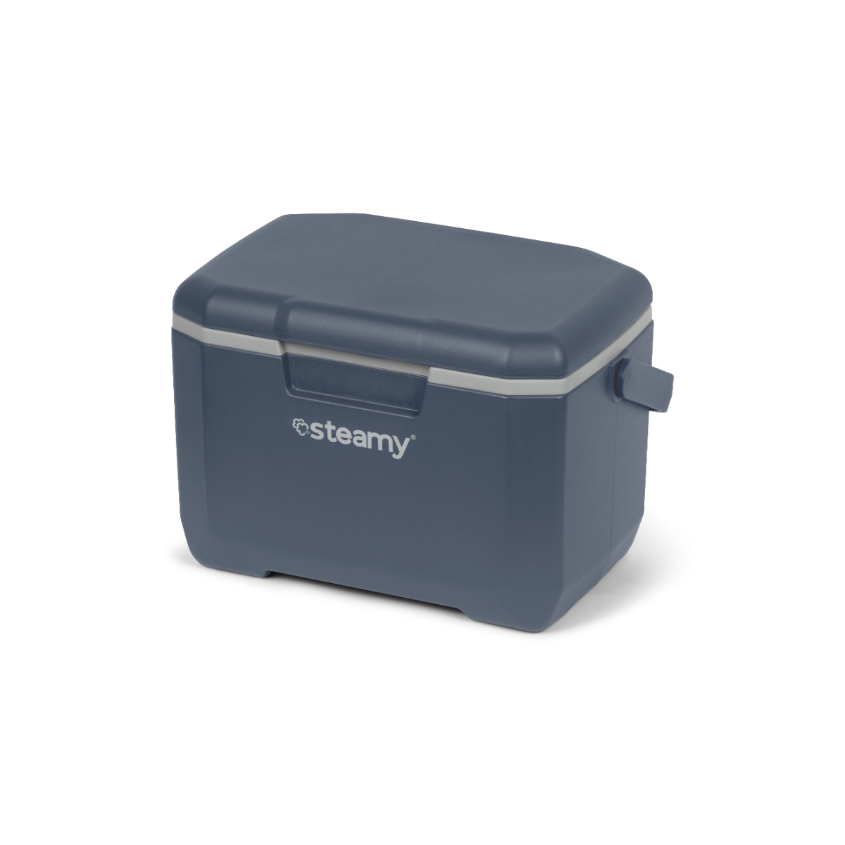 Steamy Cool 6 koelbox met koelelement - Blue