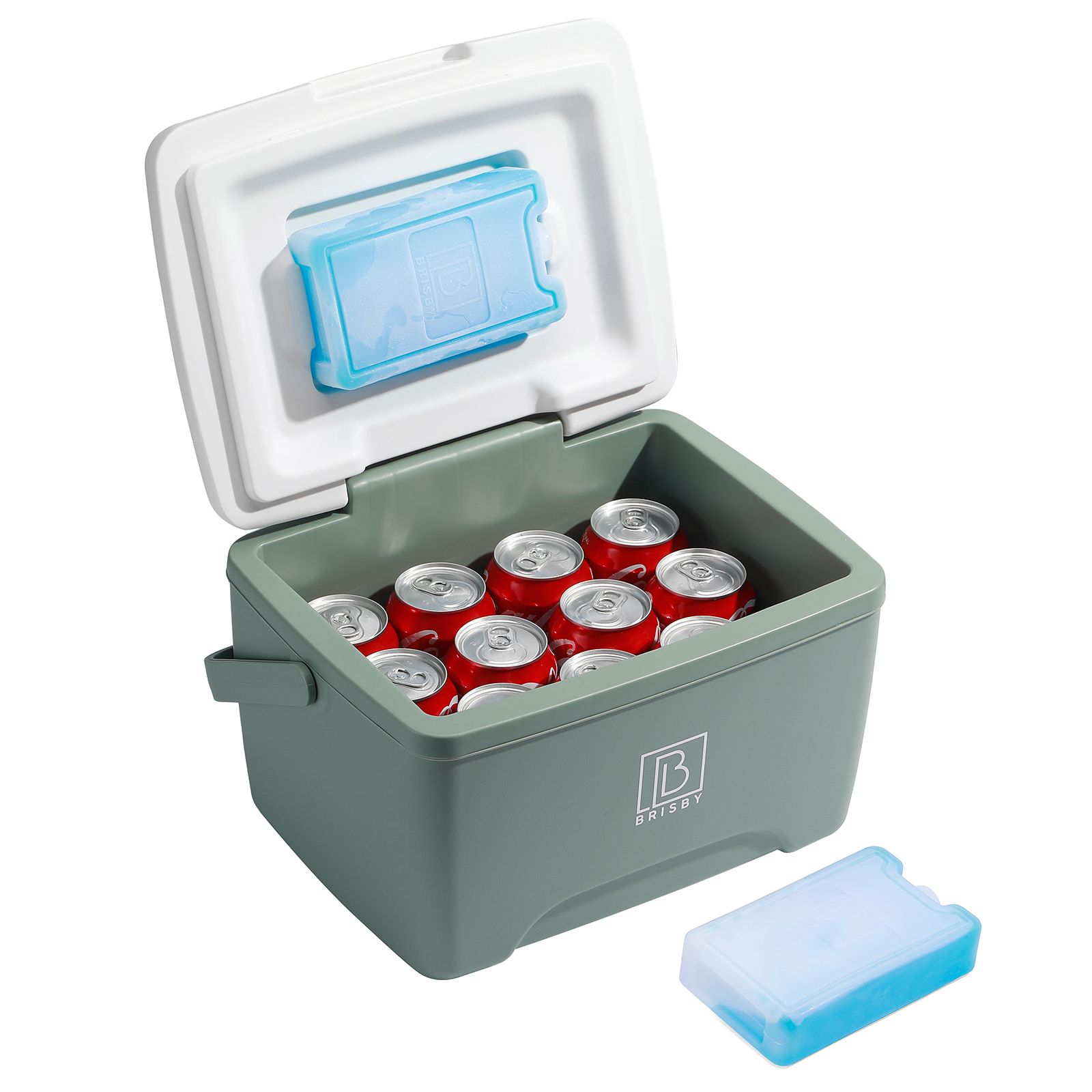 Brisby 8 liter koelbox met 2 koelelementen