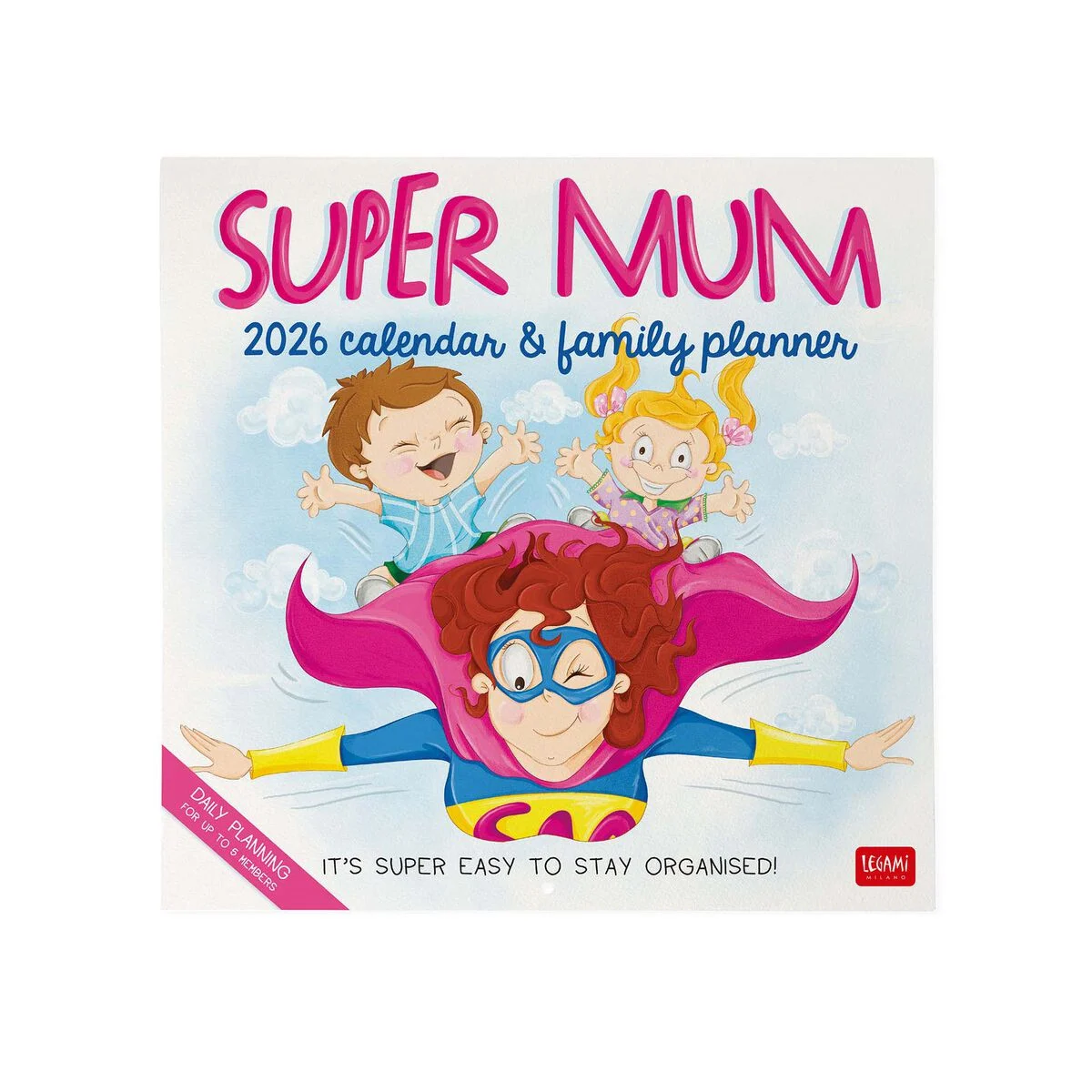 2026 Wall Calendar - 30 x 29 cm