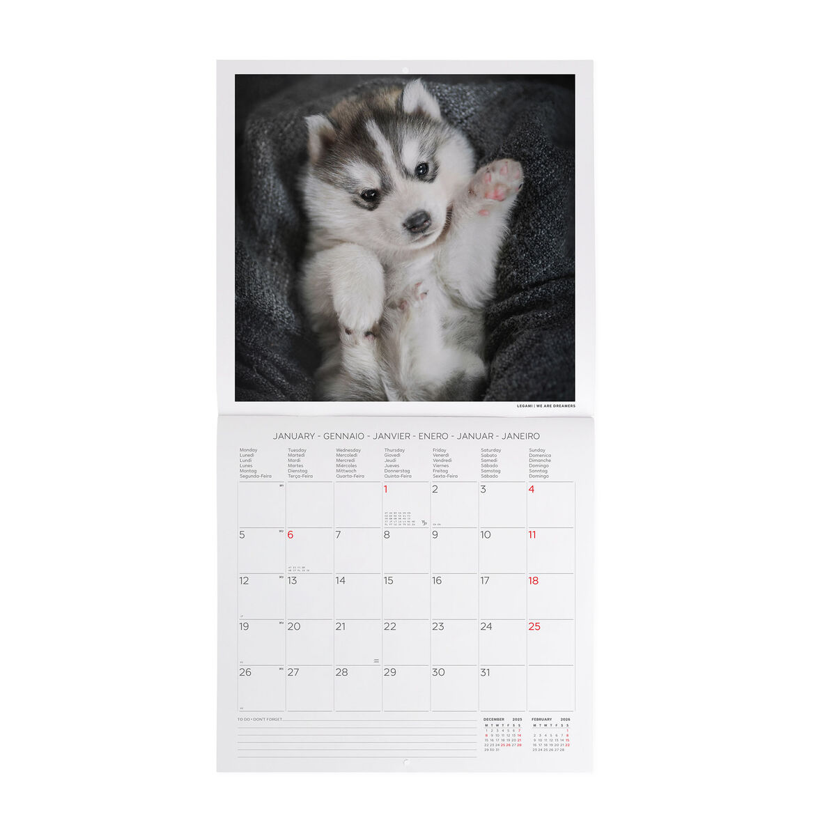 2026 Wall Calendar - 30 x 29 cm