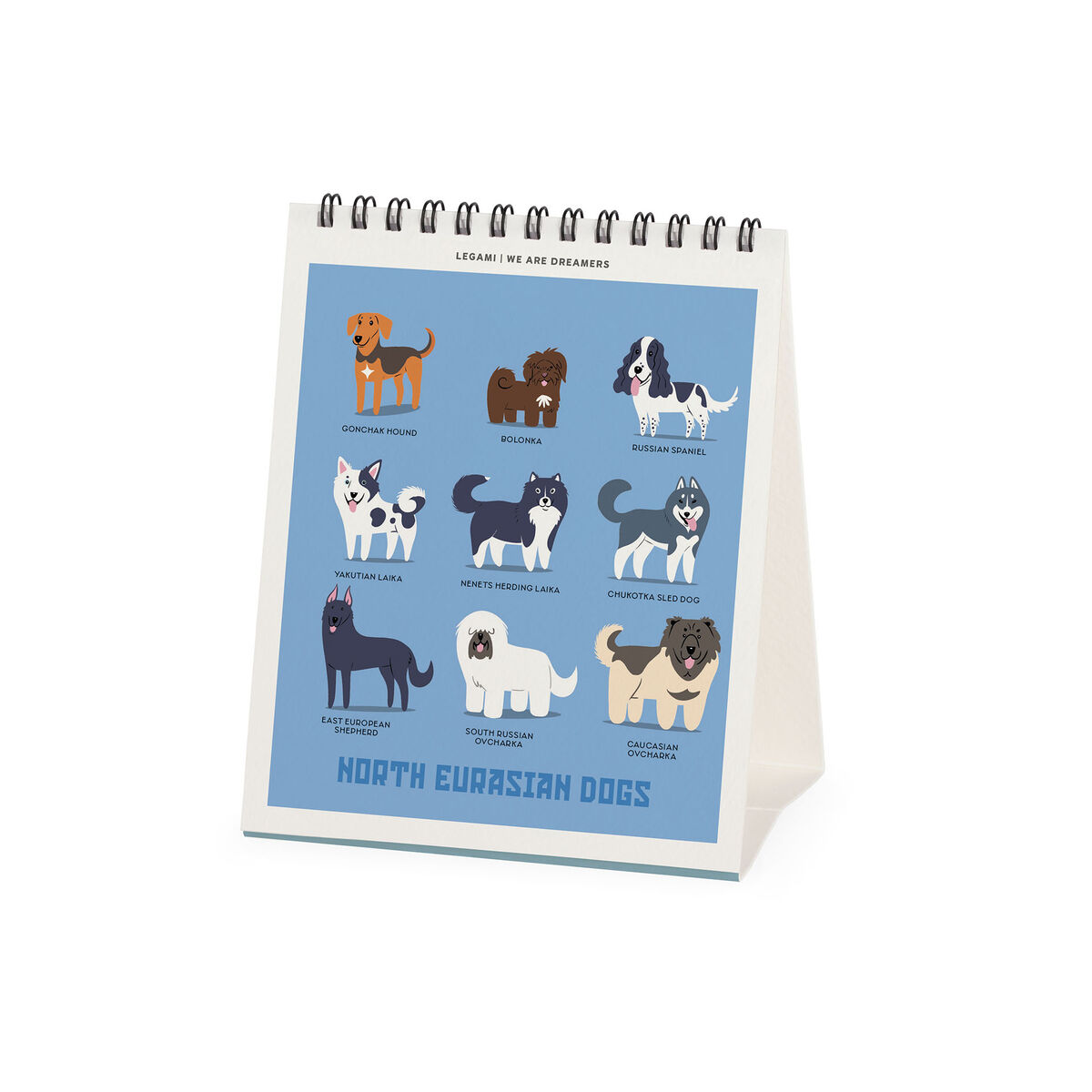 2026 Desk Calendar - 12 x 14,5 cm